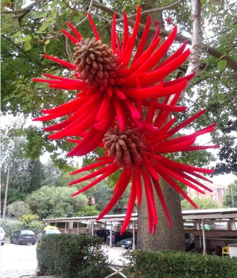 Escola de Jardinagem da Câmara Municipal de Lisboa 1