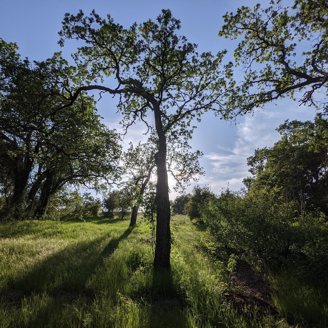 Arastradero Preserve Vista Point 3