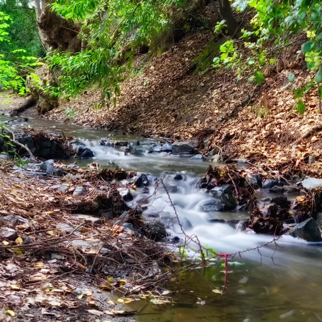 Moller Park 1