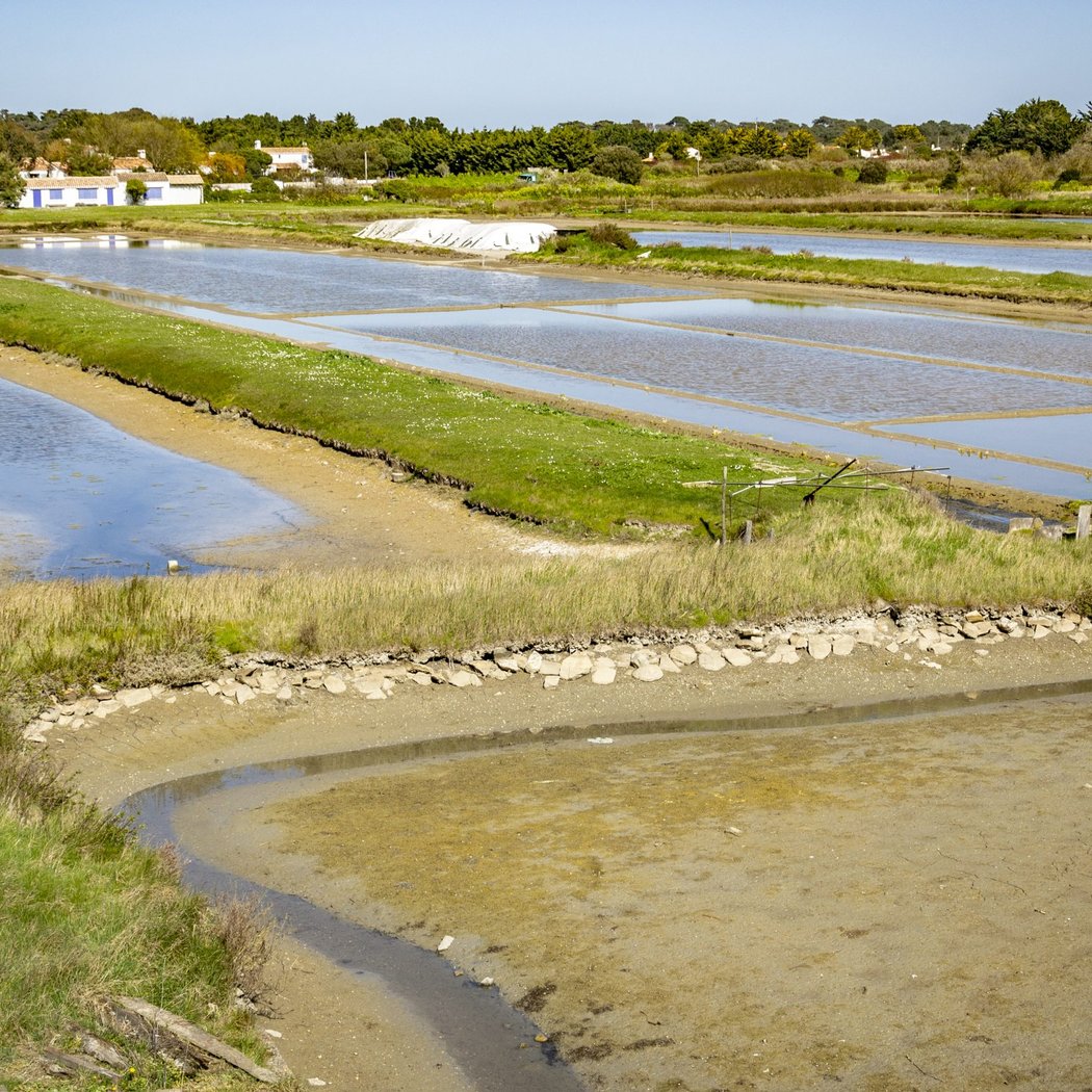 Réserve Naturelle du Marais de Mullëmbourg 4
