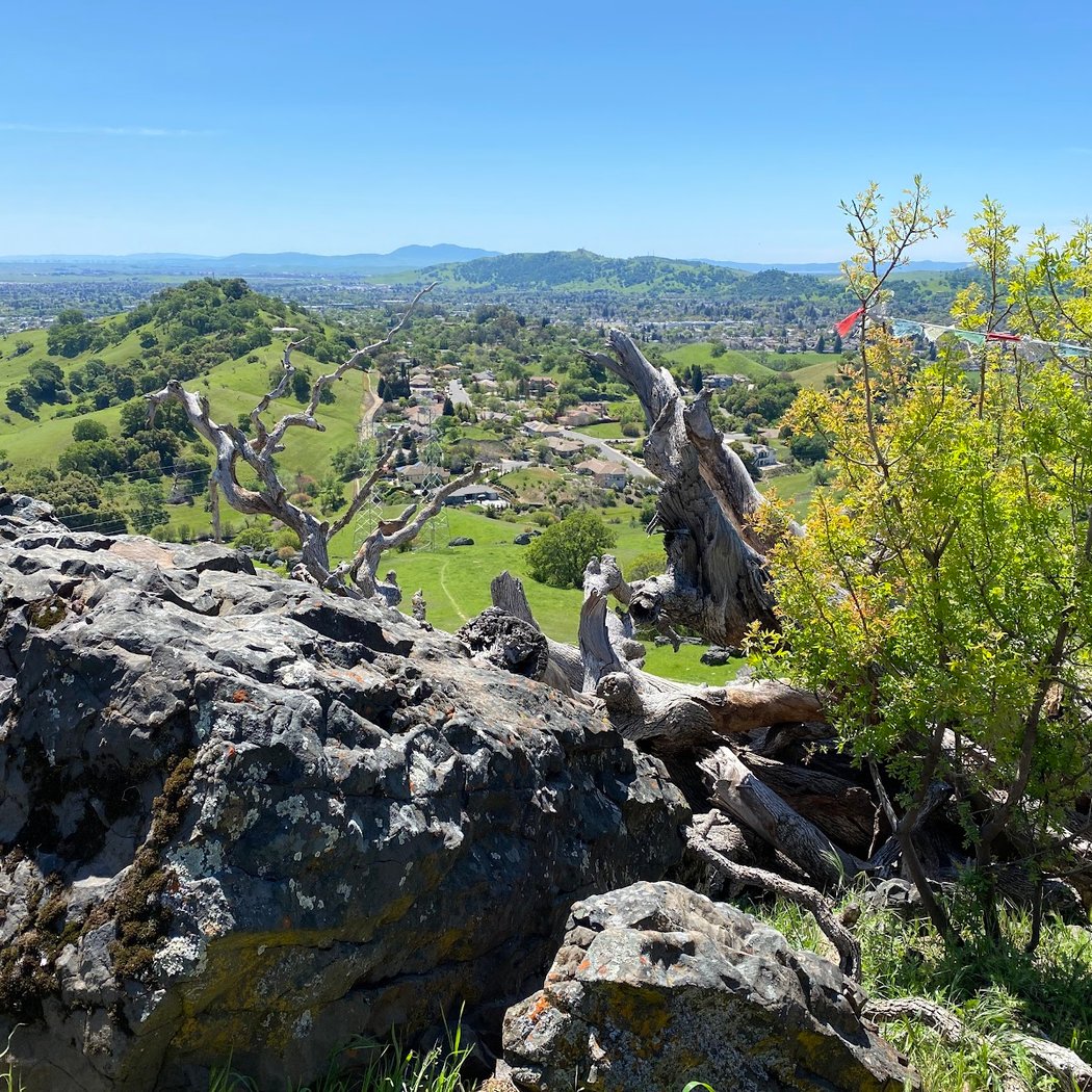 Browns Valley Open Space Preserve 2