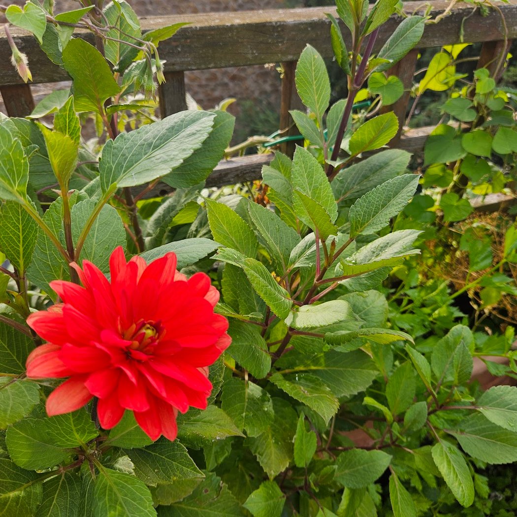 Graine de Jardinier 2