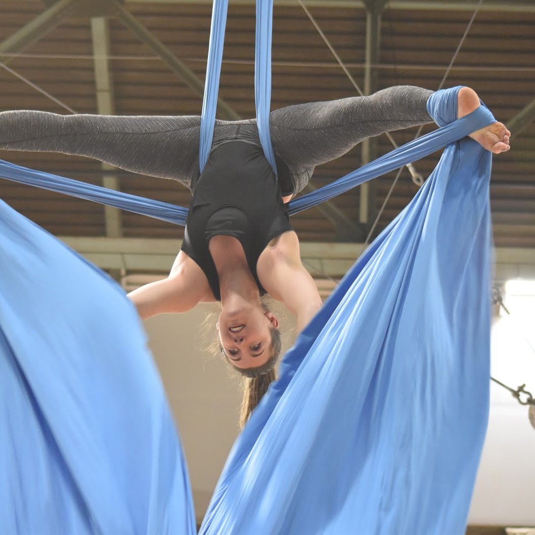 Académie de Cirque de Montréal (trapèze volant, aériens, pole dance, tissu, cerceau, et plus) 2