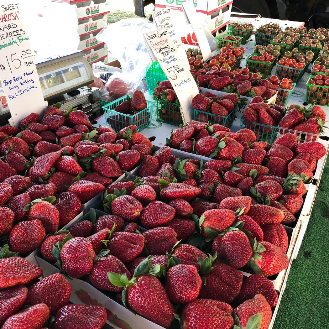 Santa Monica Saturday Pico Farmers Market 1