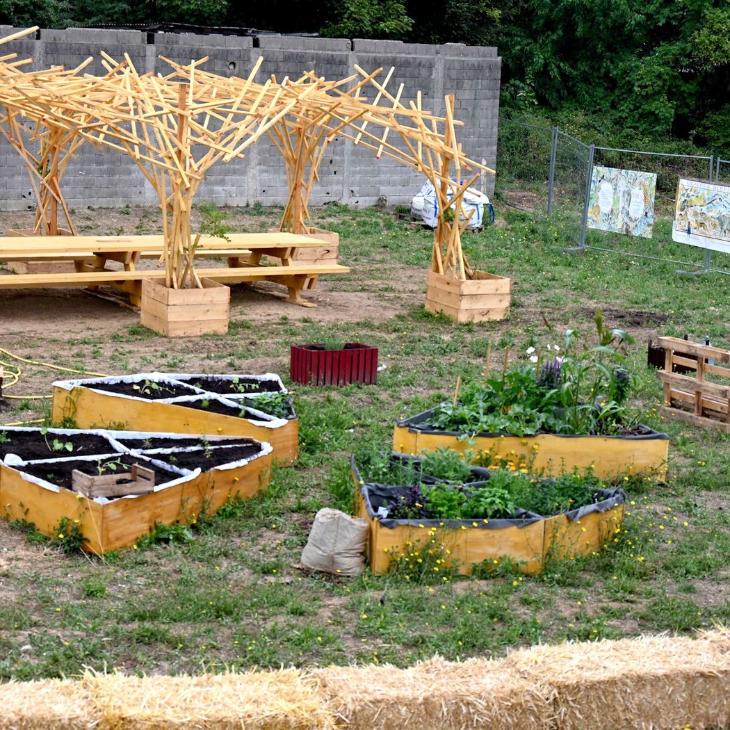 Ferme urbaine 3