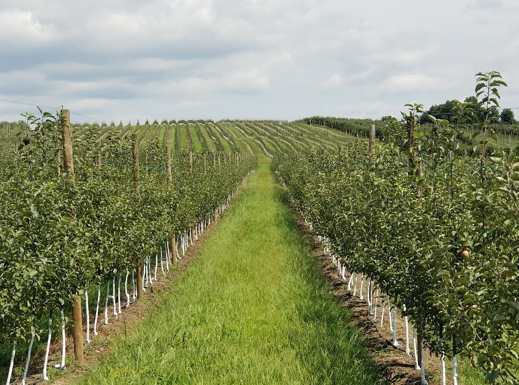 Crist Bros Orchards, Inc. 3