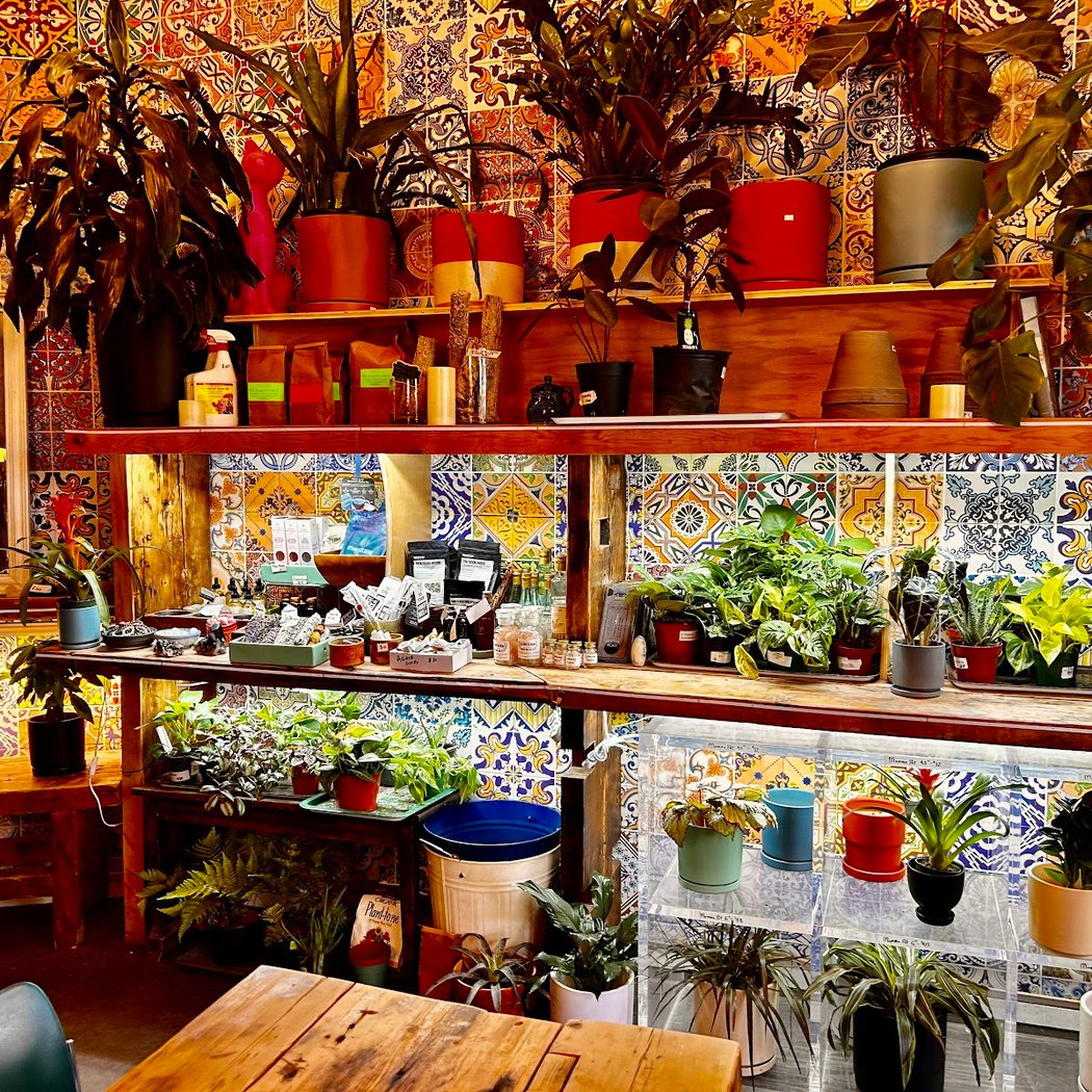 ​planted Cafe 4