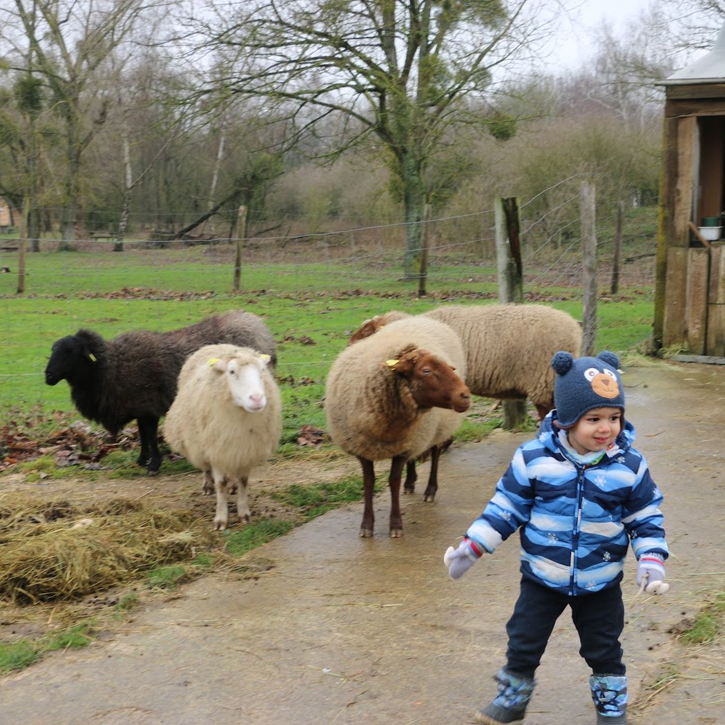 Ferme Pédagogique de Trappes/Saint-Quentin-en-Yvelines 1
