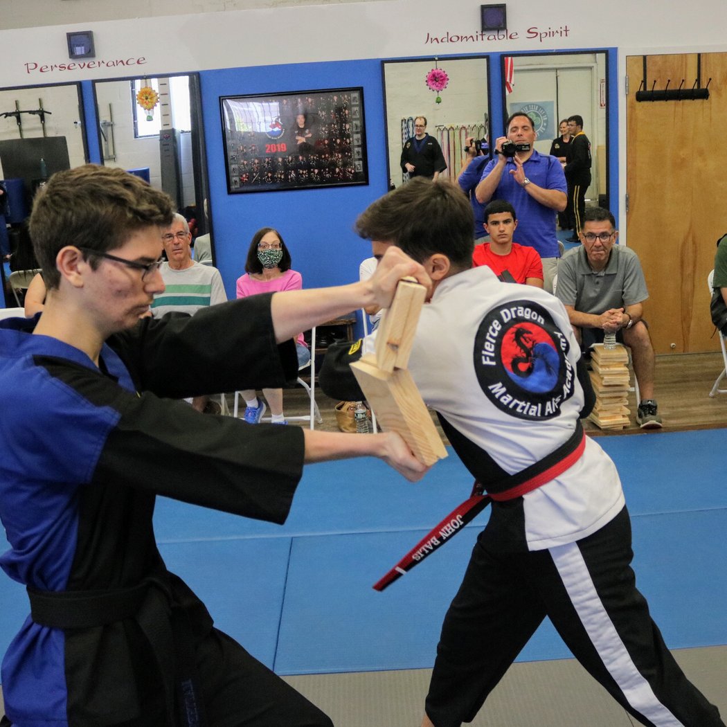 Fierce Dragon Martial Arts Whitestone's Best Programs 1