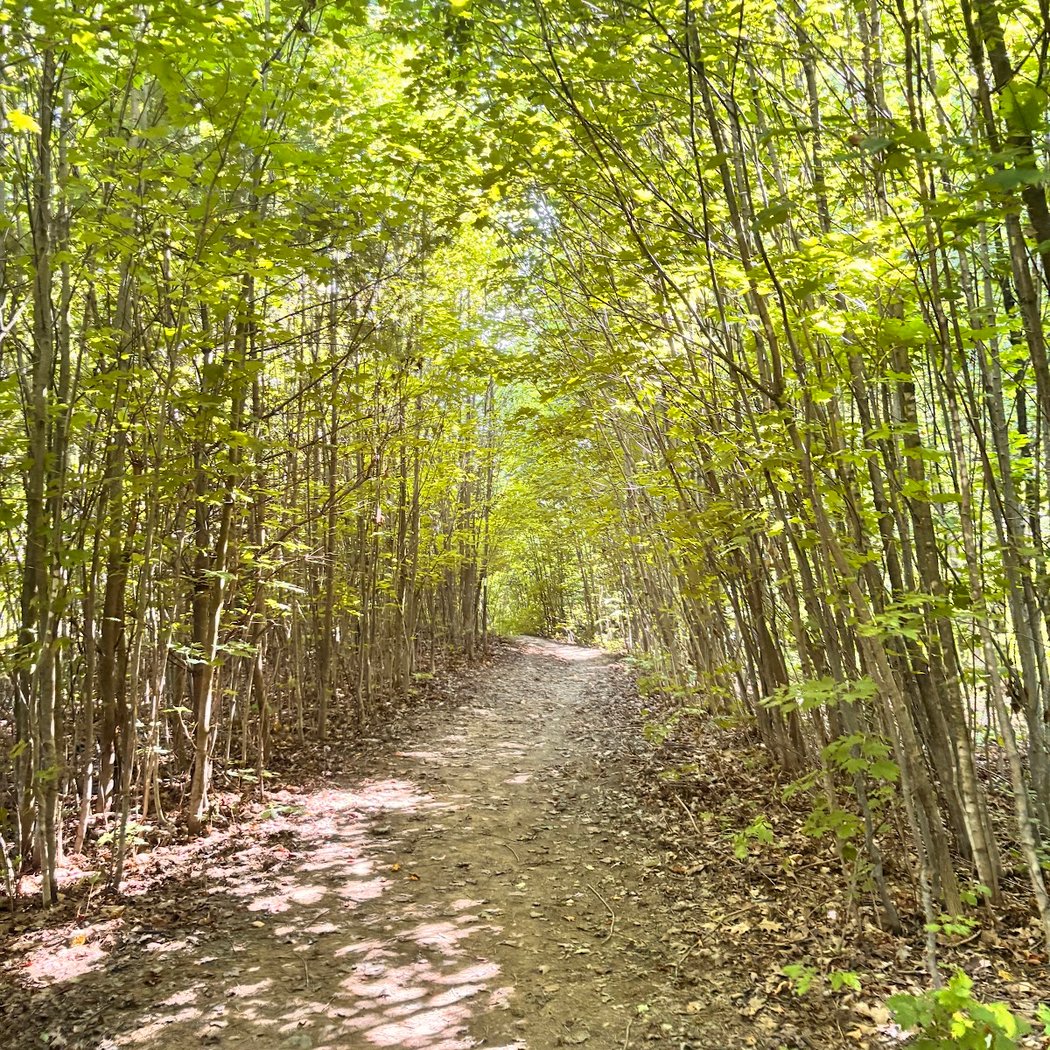 Canandaigua Vista Nature Preserve 3