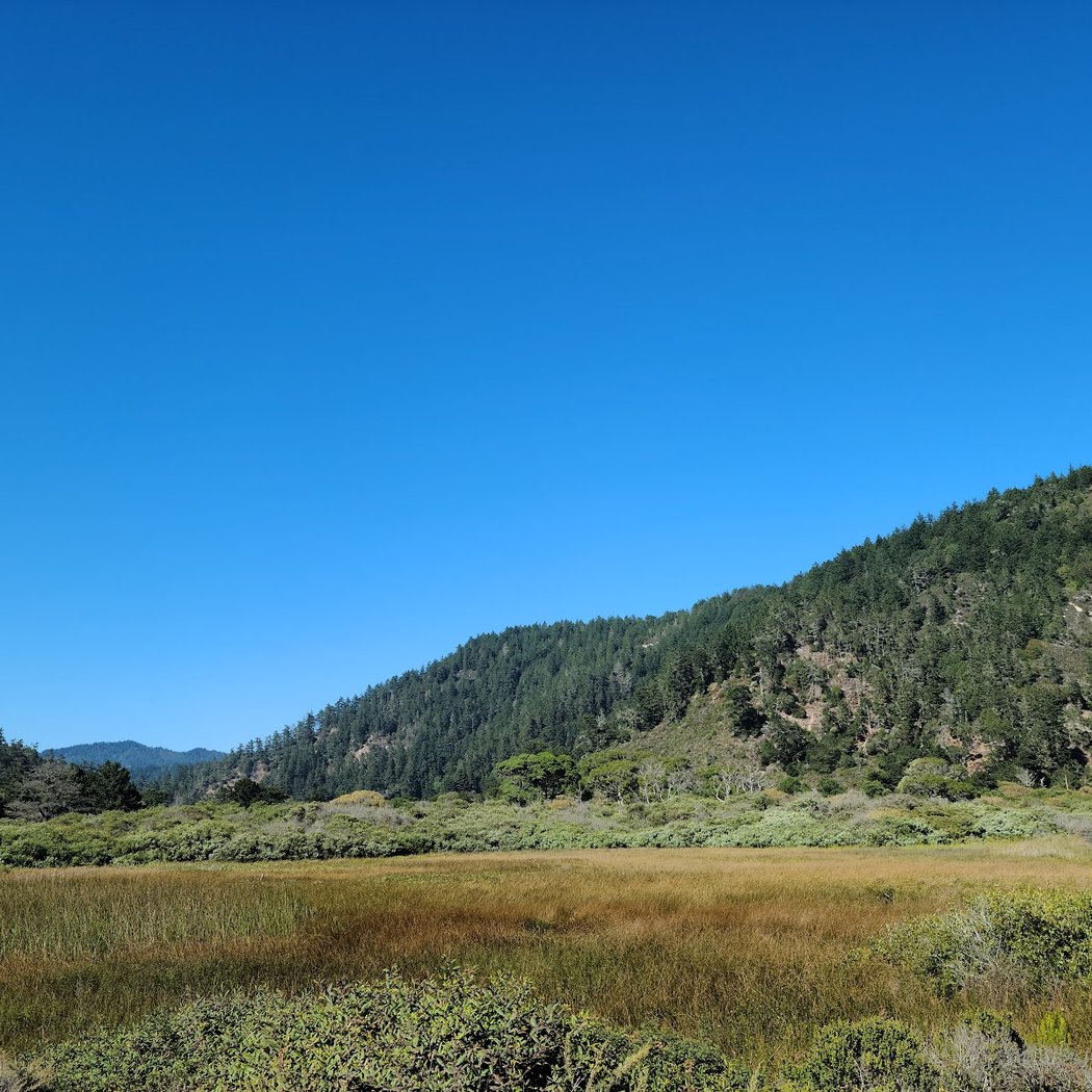 Skyline-To-The-Sea Trail 2