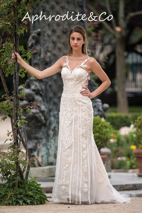 Aphrodite & Co 1