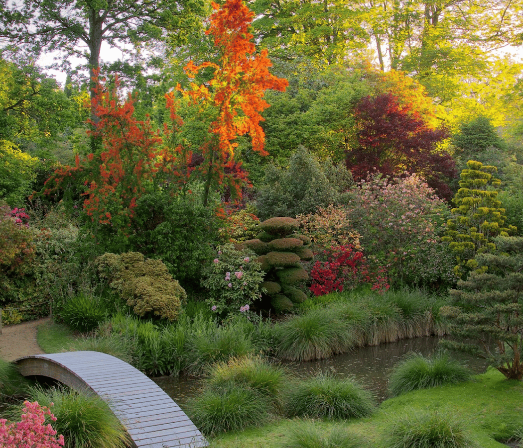 Parc Botanique de Haute Bretagne 1