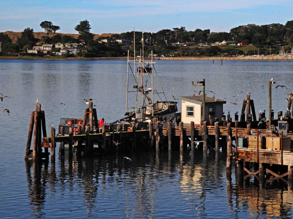 Rocker Oysterfeller's at the Wharf 3
