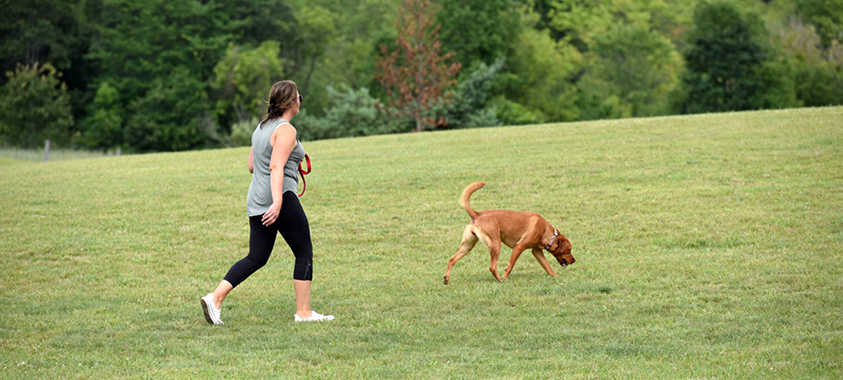 Orion Oaks Dog Park 3