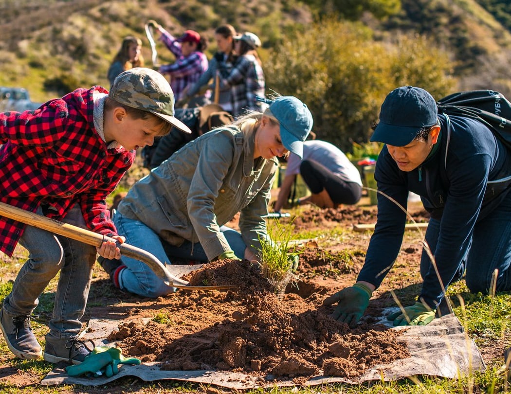 Wildfire Resilience: A Transcontinental Conversation 2