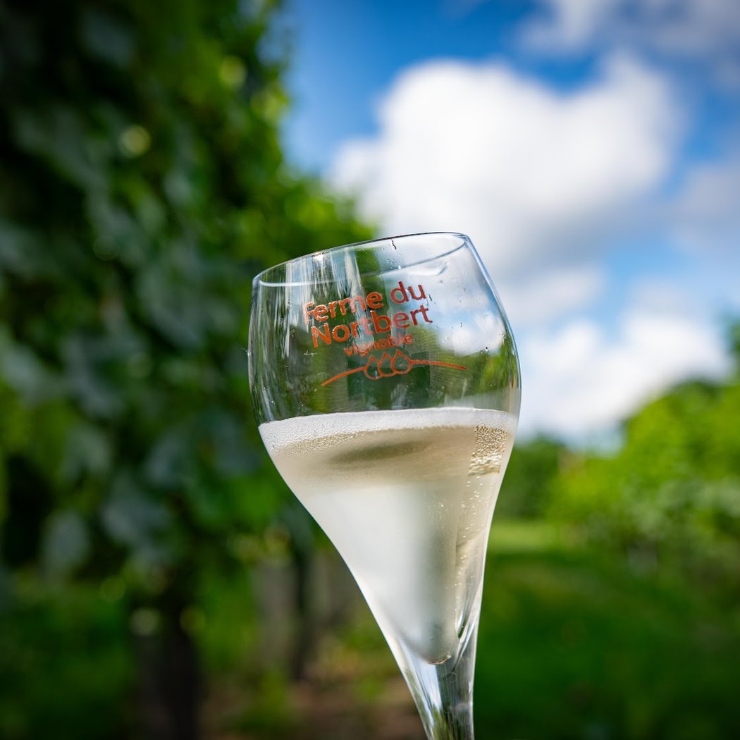Ferme du Nortbert huilerie et vignoble 1