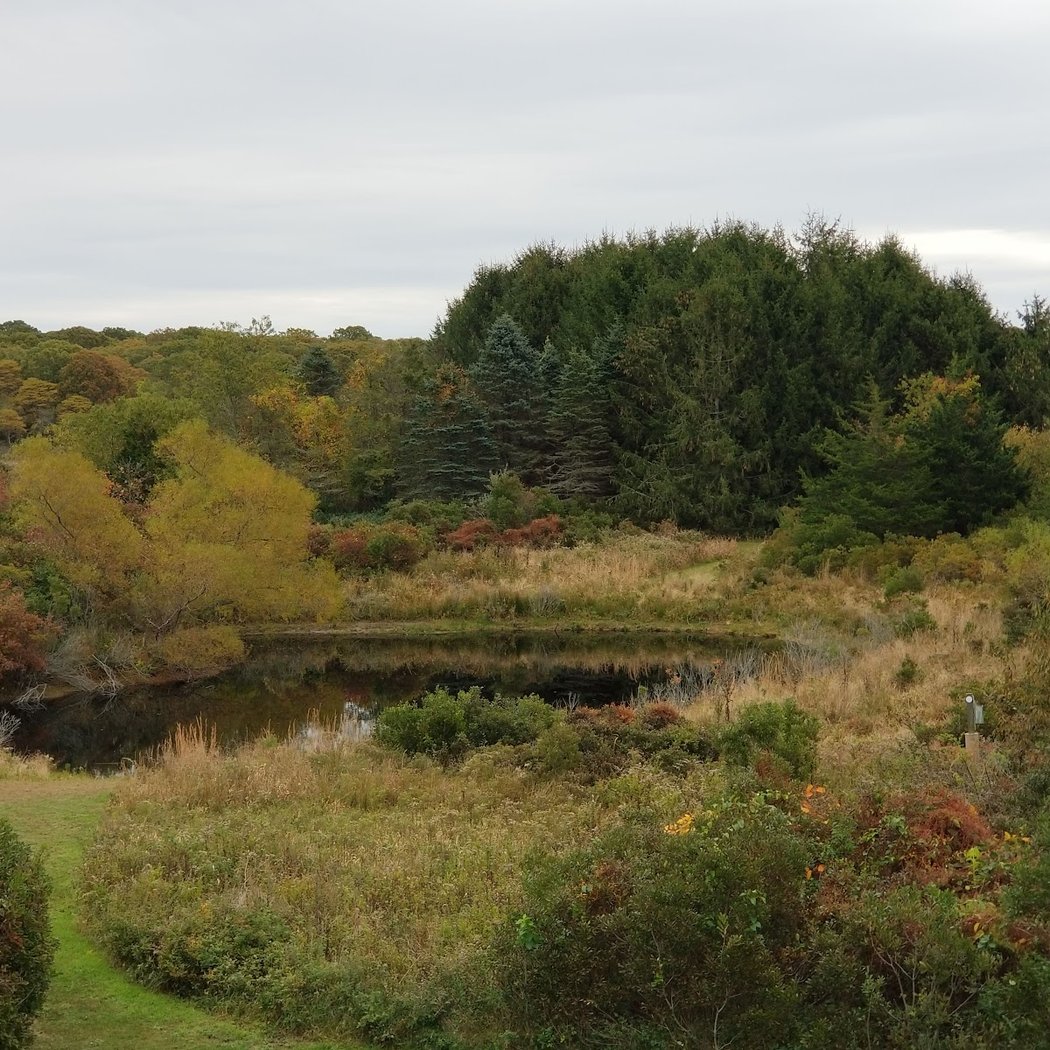 South Fork Natural History Museum & Nature Center 1
