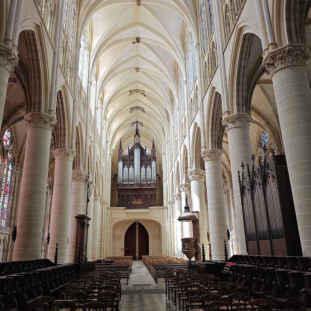 Châlons Cathedral 3