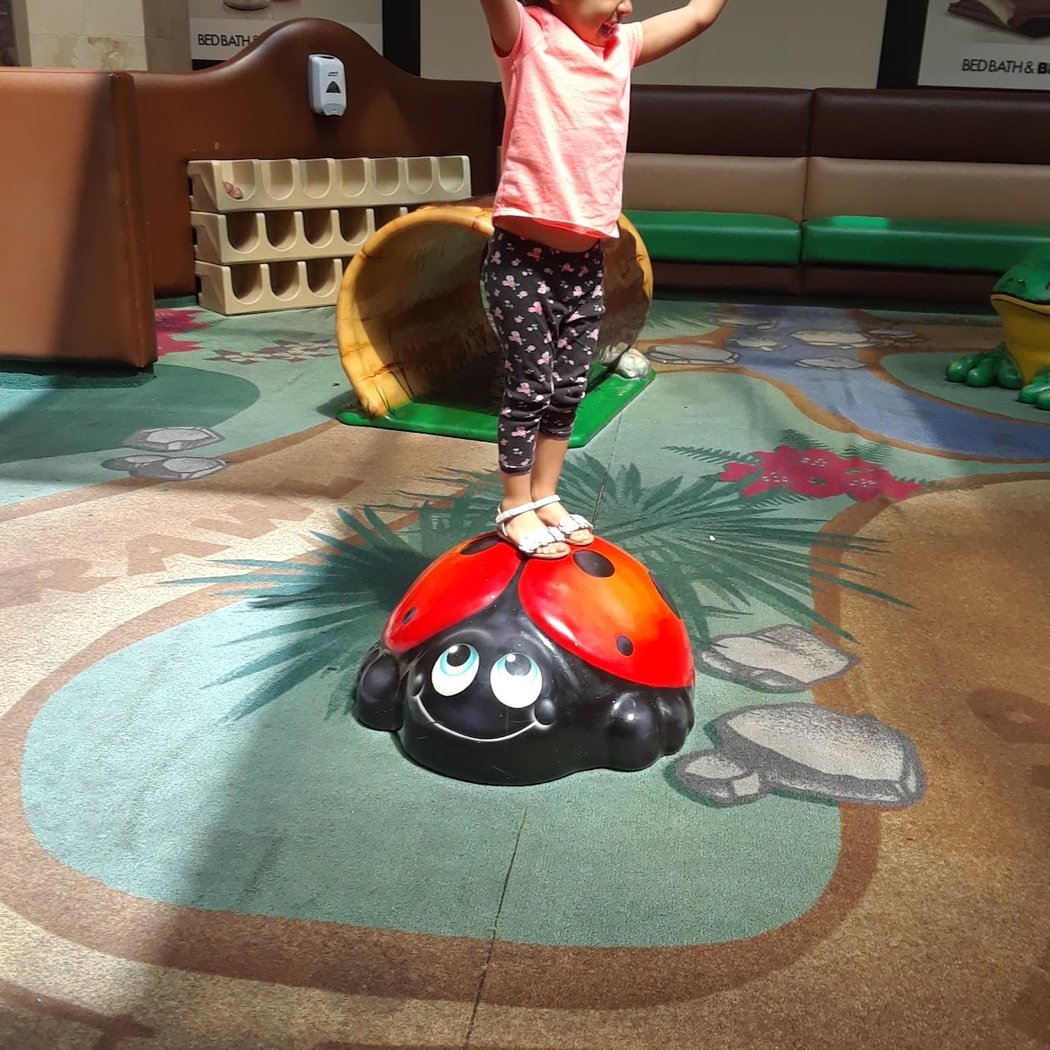 PlayGround CV Indoor Play Space 2