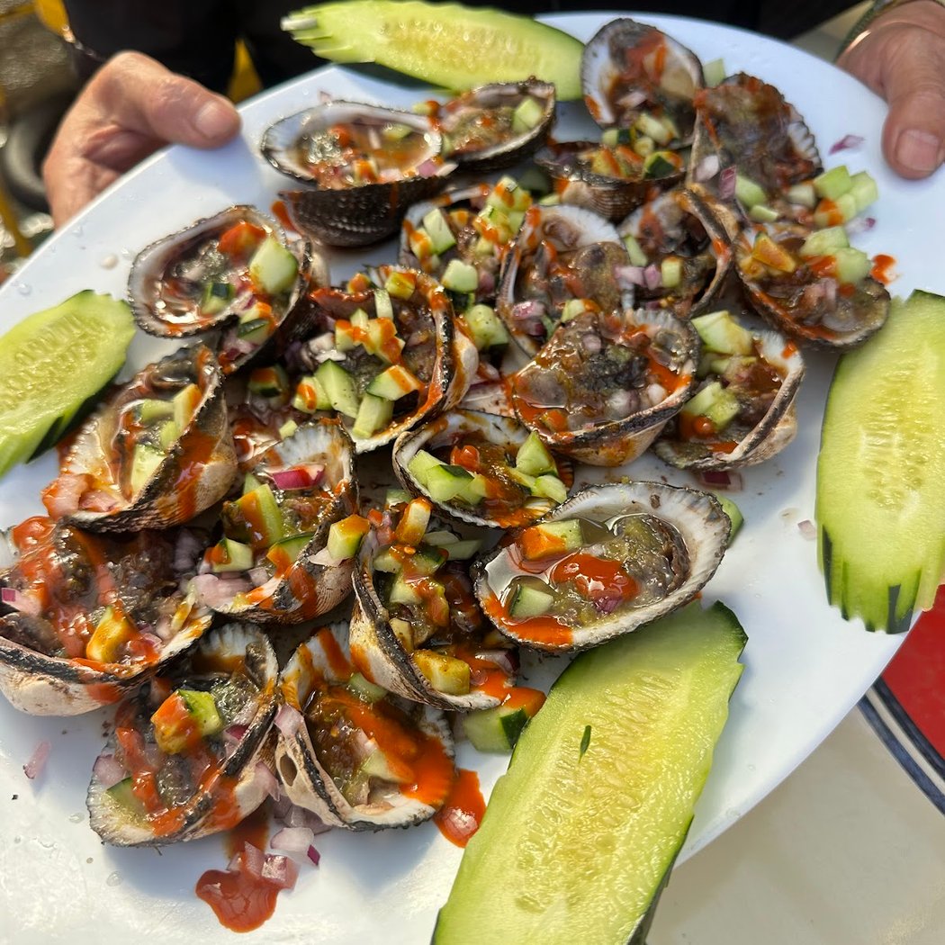 Un pedacito de Nayarit 3