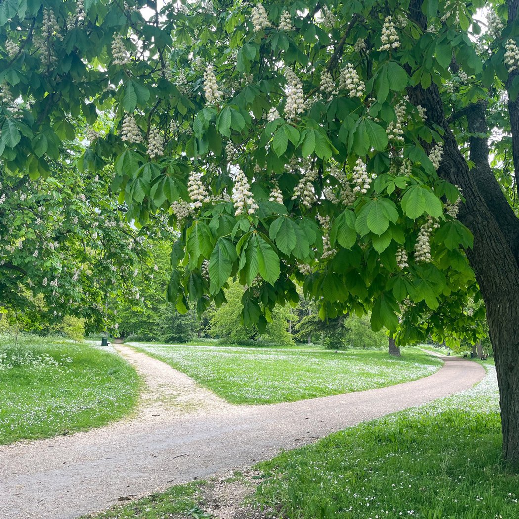 Parc de Bois-Préau 4