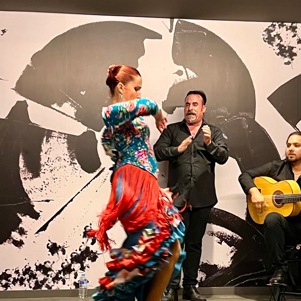 Centro Flamenco de Sevilla 1