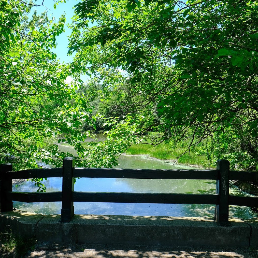 Willowbrook Park 2