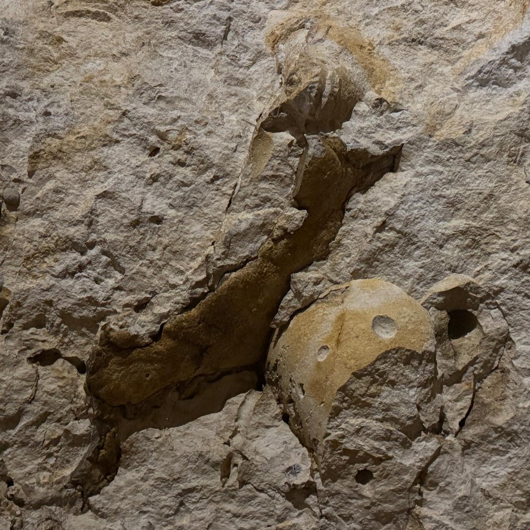 Grotte du Foulon 3