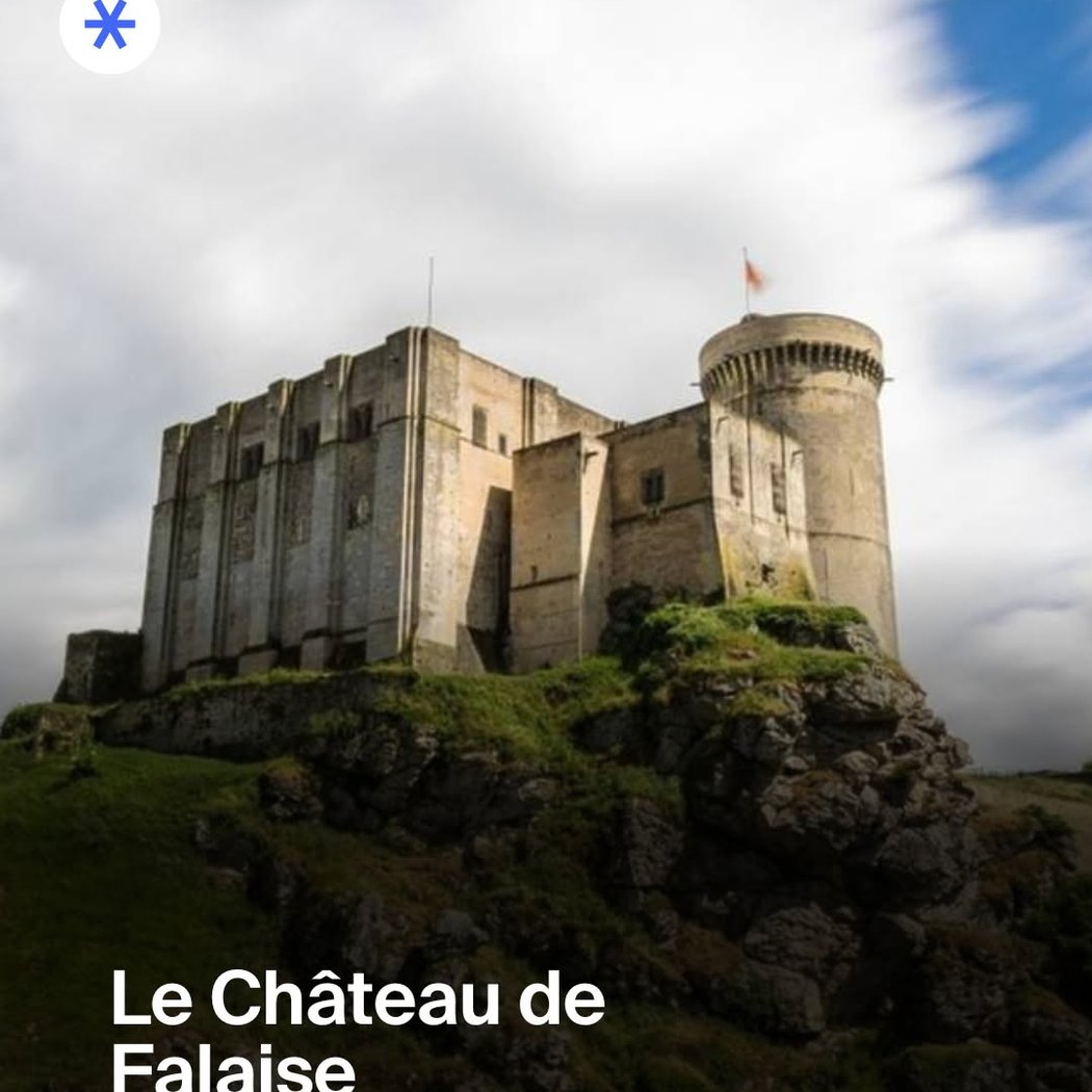 Château de Falaise 1