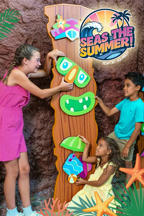 SEAS the Summer 1