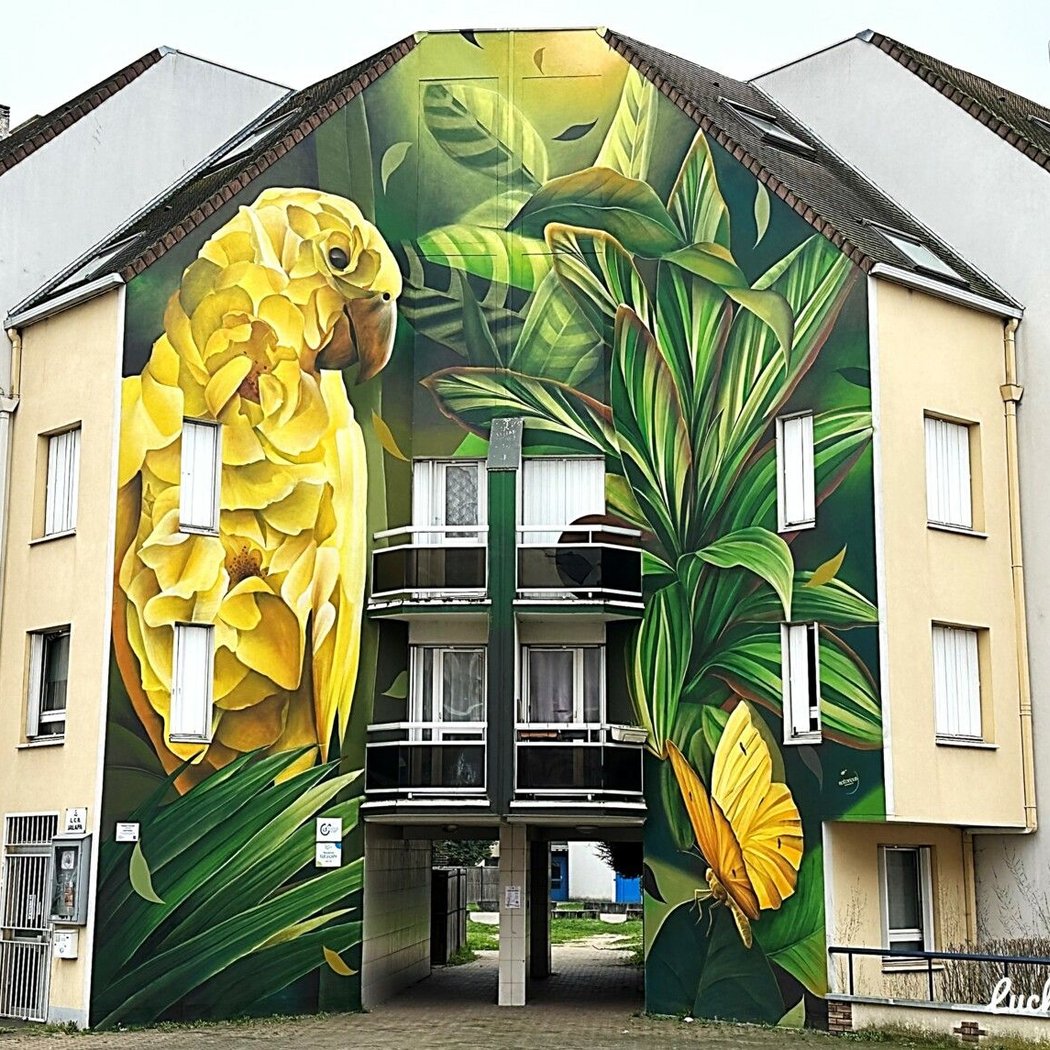 maison XXL Chennevières, Canapés design, meubles design 1