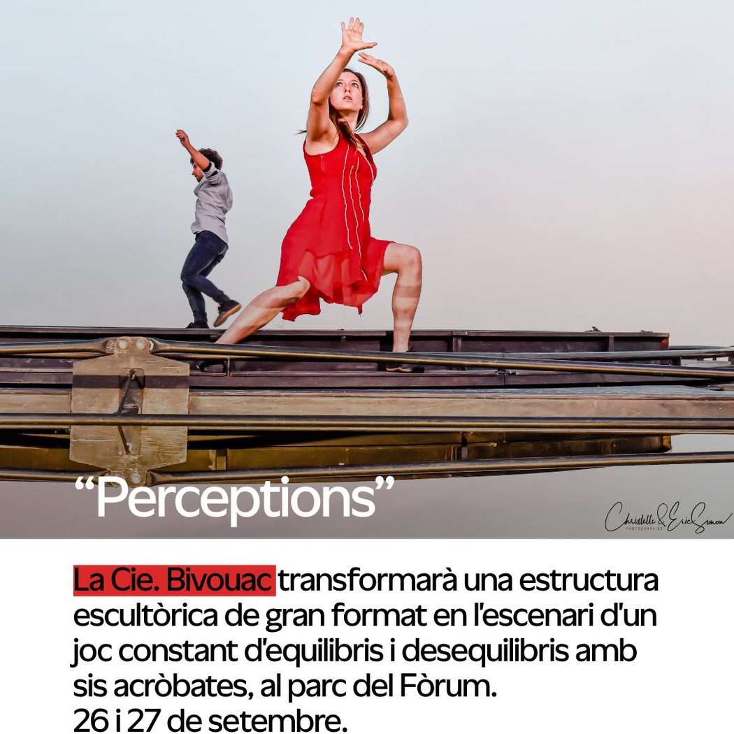 Perceptions 1