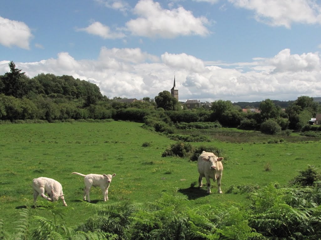 GR 13 Du Gâtinais (Seine-et-Marne) au Morvan (Saône-et-Loire) 3