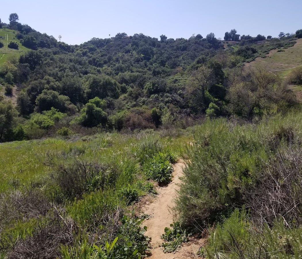 10,000 Steps Hike 3