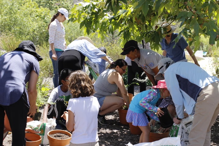 Grow Native! Gardening Club 1