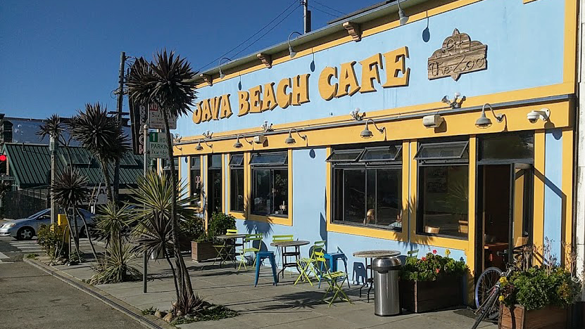 Java Beach At The Zoo 3