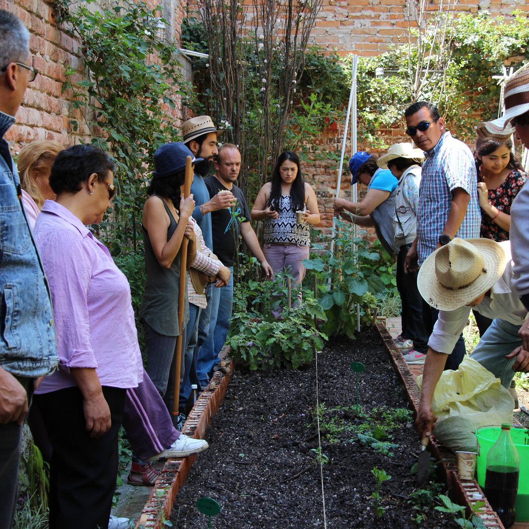 Community Garden Volunteer Session 2