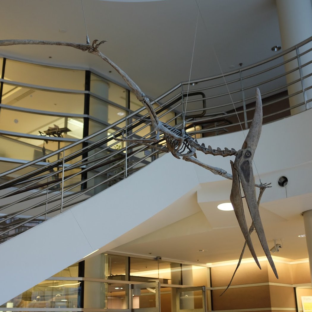 Museum of Vertebrate Zoology 2