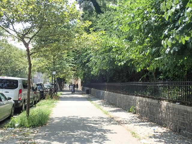 Jerome Slope 2