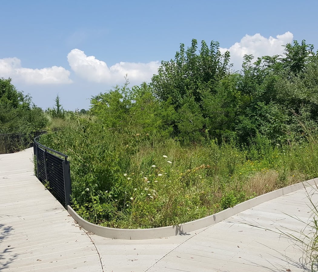 Ecology Park Restoration and Tour 2