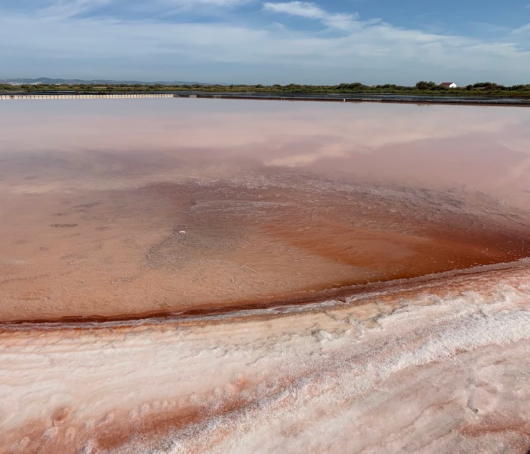 Salinas do Samouco, Fundação para protecção e Gestão Ambiental 2