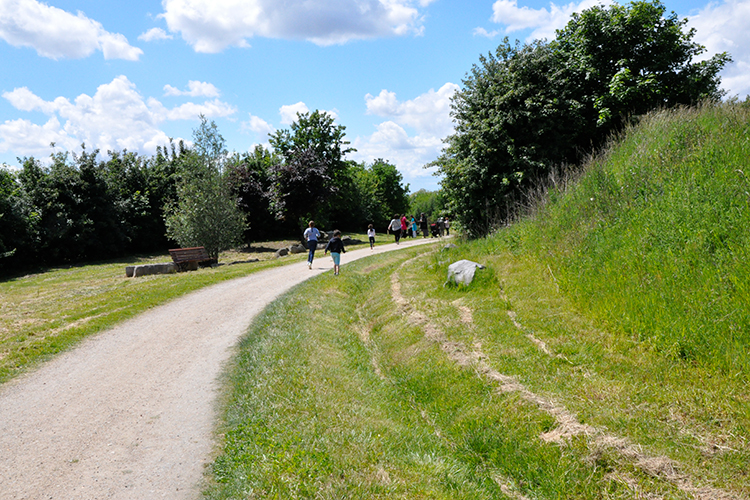 Parc Forestier du Bois de l'Étoile 1