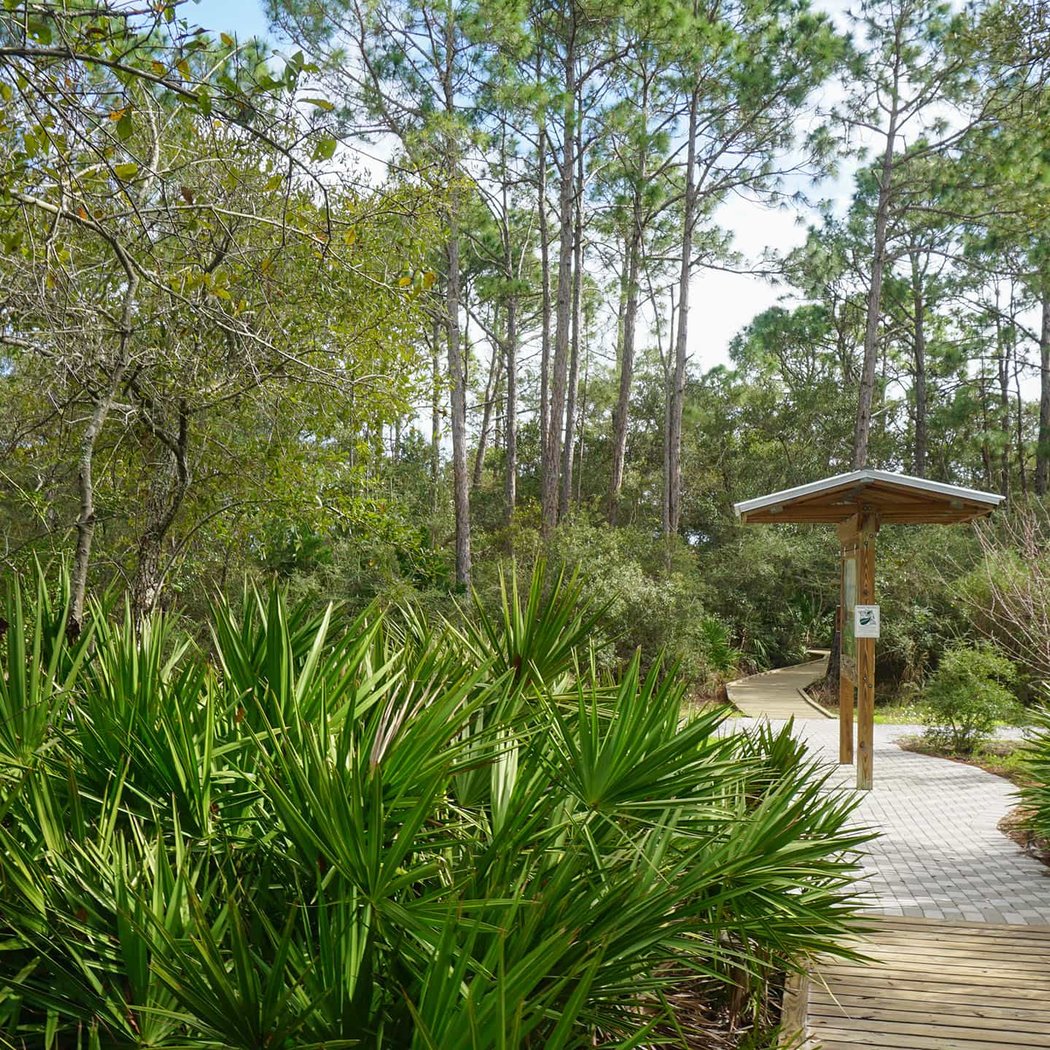 Fern Forest Nature Center 4