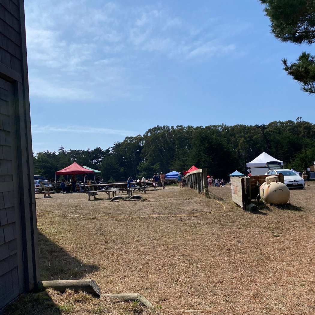 A Celebration of Bodega Bay’s Fisherman’s Festival After 50 Years 2