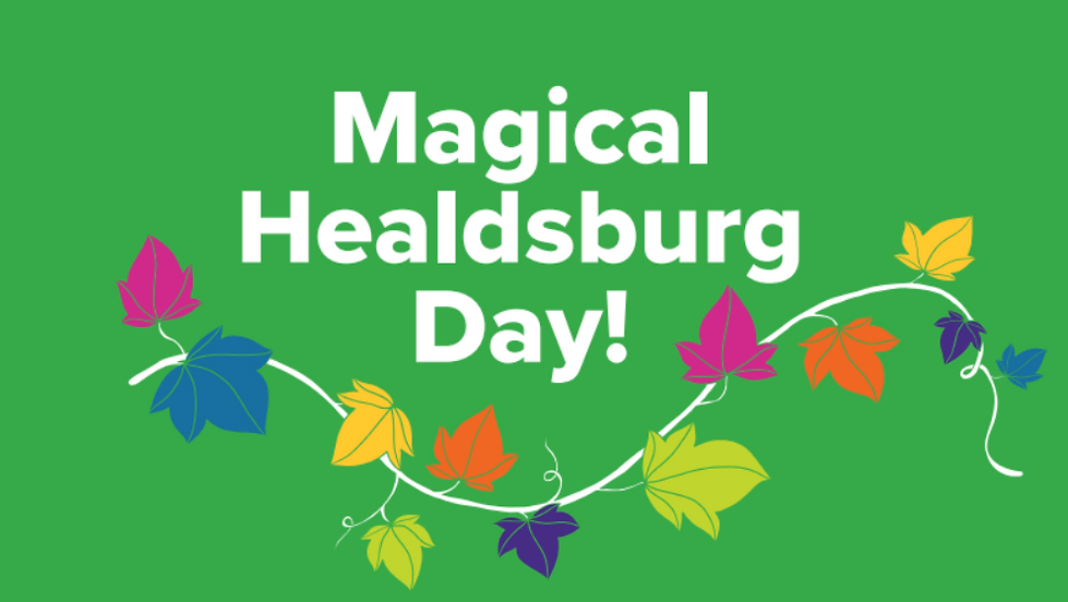 Magical Bridge Healdsburg Community Input Sessions 1