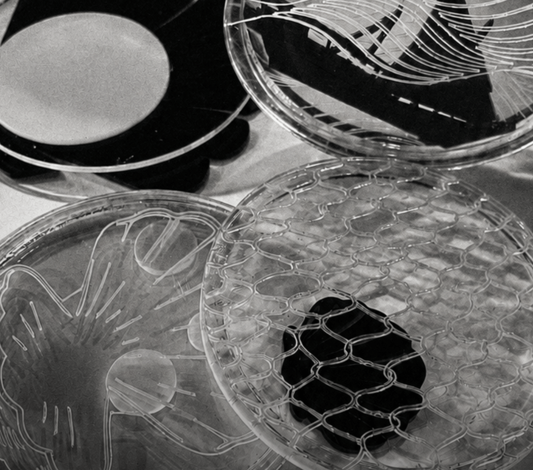 Tracing Memory: From Observation to Material Workshop 1