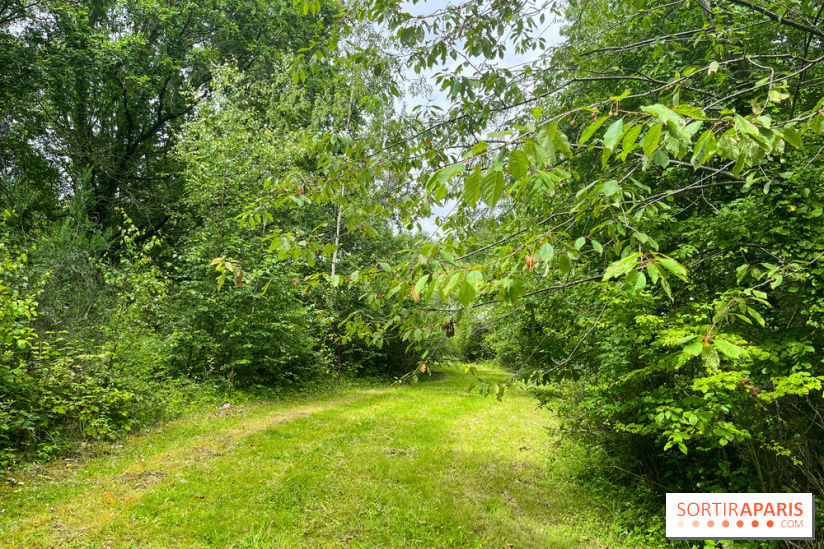 Arboretum de La Roche-Guyon 2