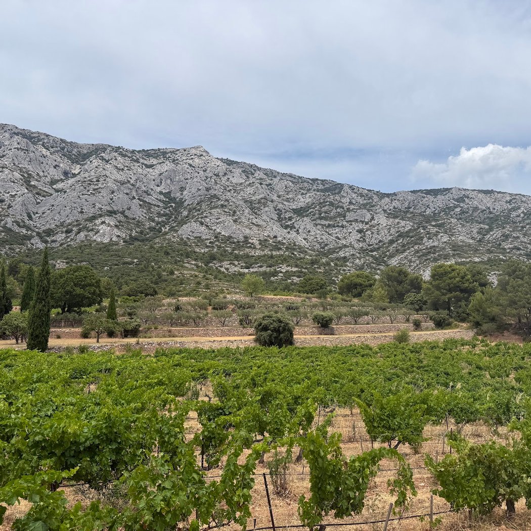 Planet Provence - Wine, Food & Discovery Tours in Provence 3