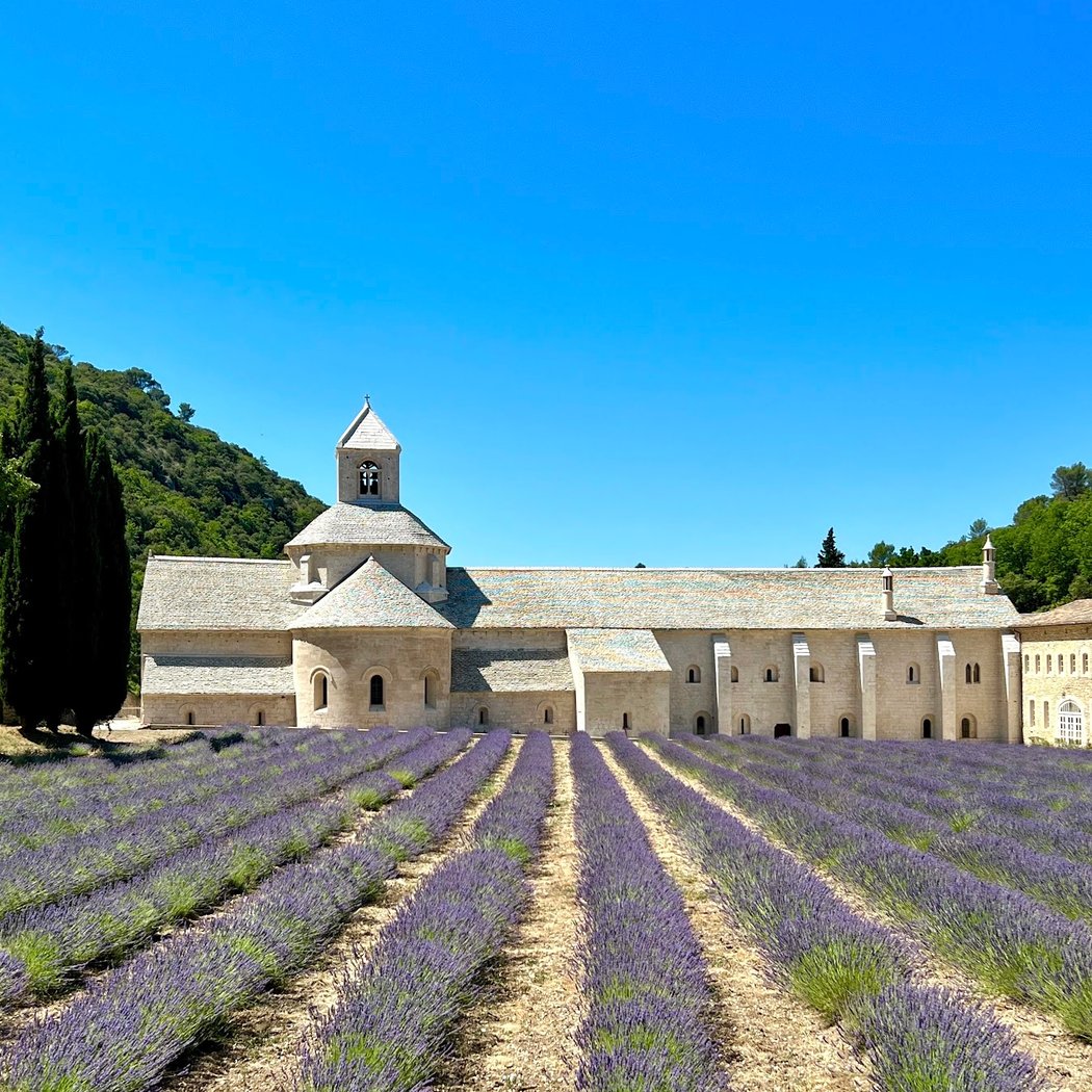Abbaye Notre-Dame de Sénanque 5